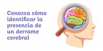 Guía Definitiva para Prevenir el Derrame Cerebral en Mujeres Mayores: Estrategias Evidenciadas y Consejos Prácticos